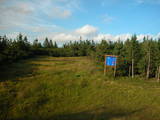 19 : 26