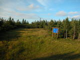 19 : 38
