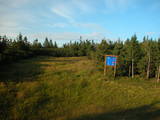 19 : 42