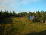 19 : 46