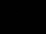 03 : 06