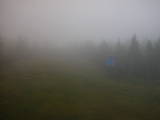 14 : 30