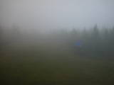 14 : 50
