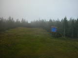 15 : 46