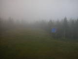 19 : 10