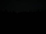 20 : 46