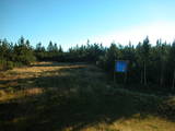 08 : 02