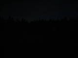 20 : 38