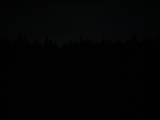 20 : 42