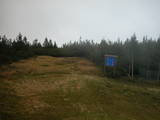 16 : 50