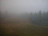 08 : 46