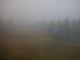 08 : 50