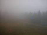 13 : 06