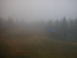 14 : 06