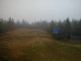 15 : 46