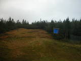 15 : 54