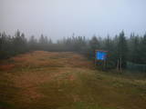 19 : 10