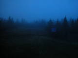 19 : 42