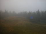 08 : 06