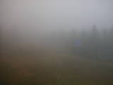 13 : 30