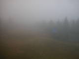 13 : 54