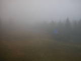 14 : 14