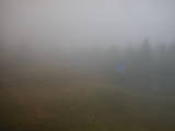 14 : 30