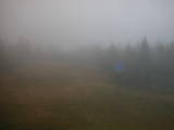 14 : 42