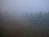 07 : 50