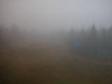 08 : 50