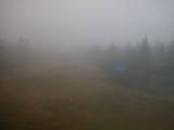 13 : 26