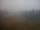 13 : 30
