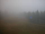 13 : 42