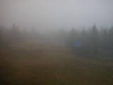 13 : 50