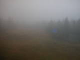 14 : 06