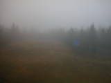 14 : 18