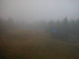 14 : 30