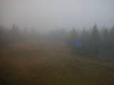 14 : 46