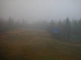 14 : 50