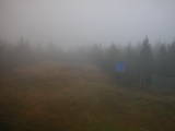 15 : 30