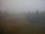 15 : 38