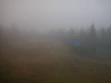 15 : 46