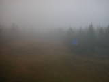 15 : 50