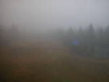 15 : 54