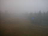 15 : 58