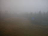 16 : 14