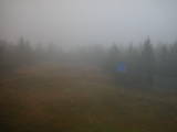 16 : 30