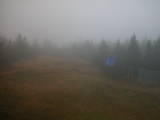 16 : 42
