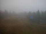 16 : 50