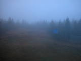 17 : 50
